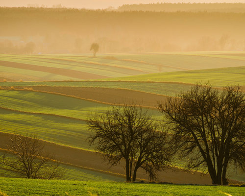 Lublin Voivodeship