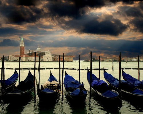 Very Viva Venice S.r.l.  image