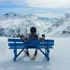 Winter tripsImage