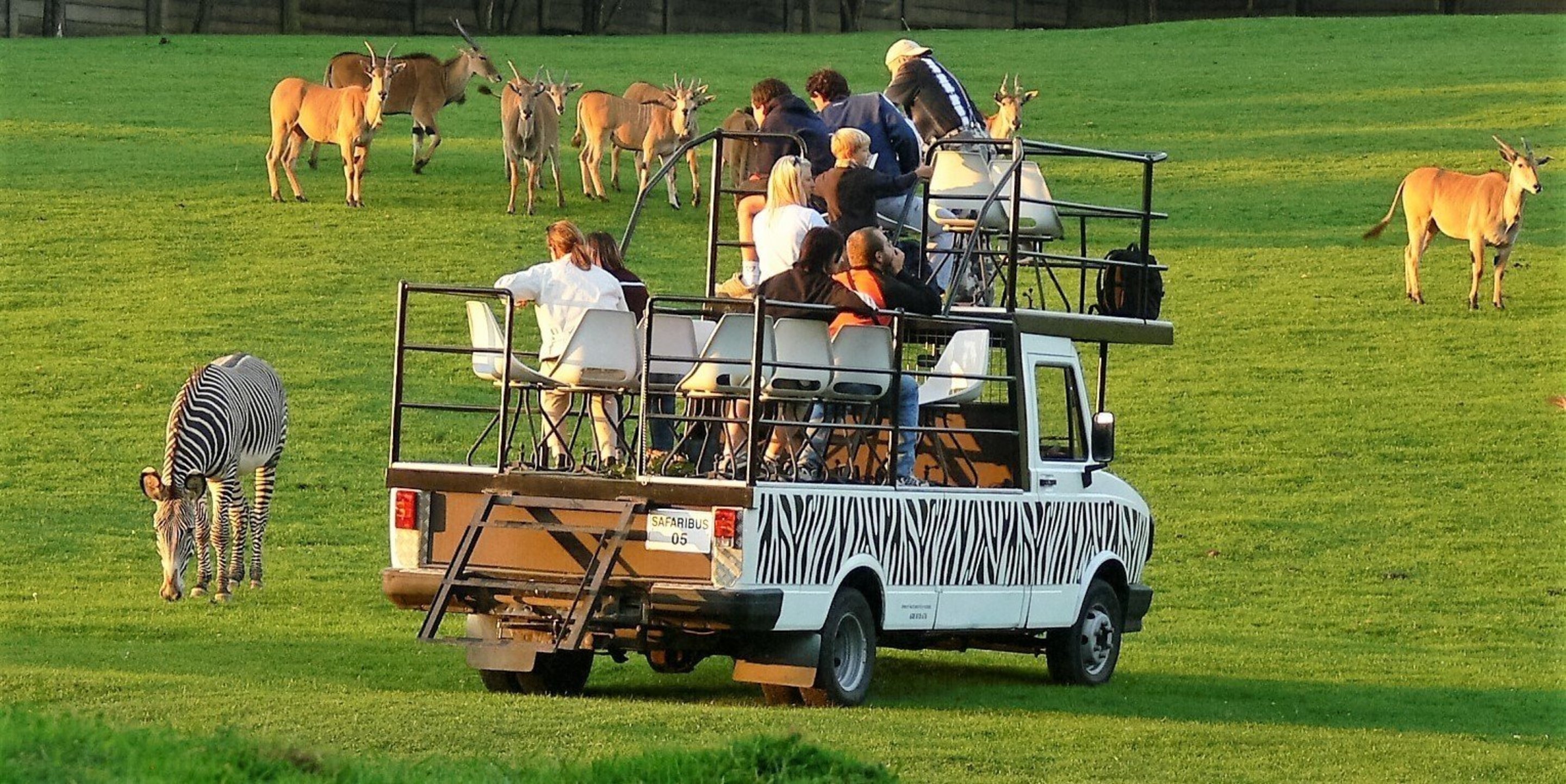 safari autem zoo dvur kralove