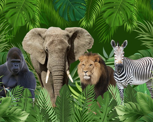 Warszawskie ZOO image