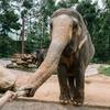 Zoological GardensImage
