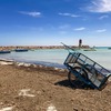 DjerbaImage
