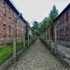 AuschwitzImage