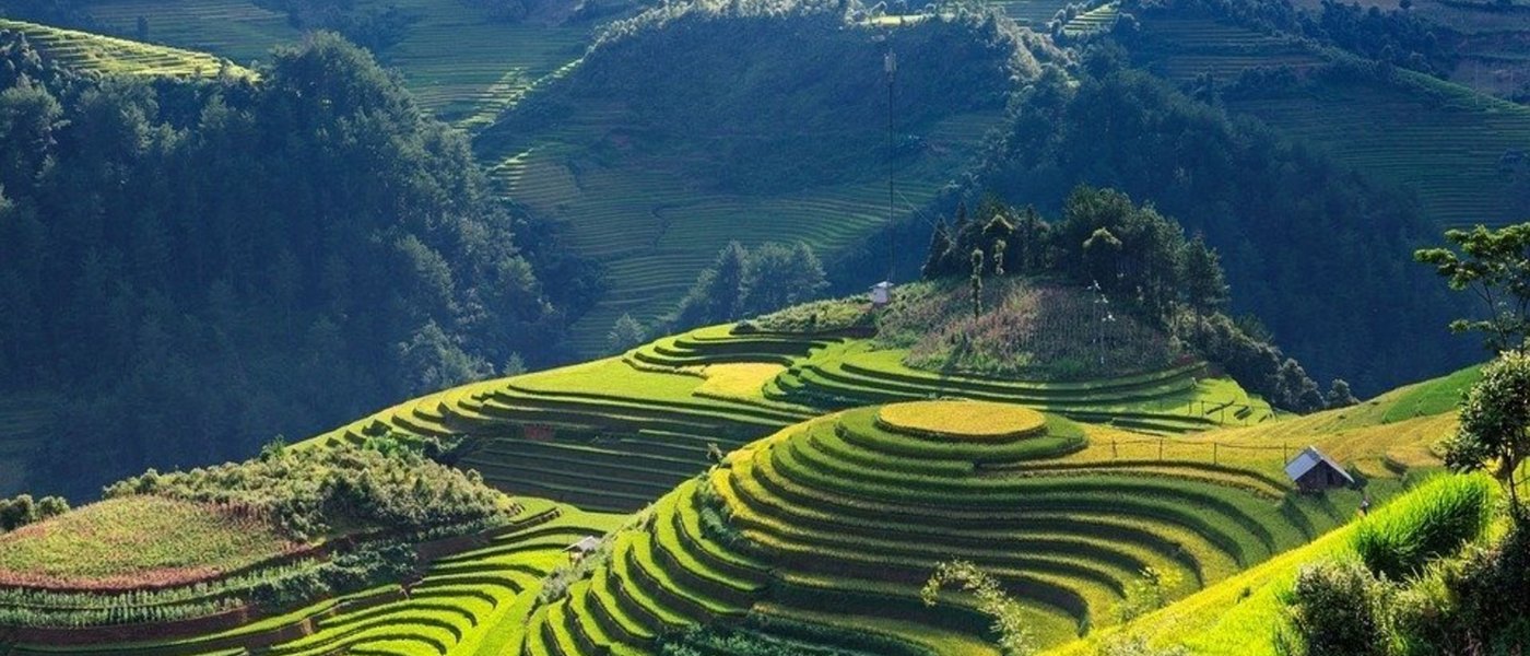 Vietnam image