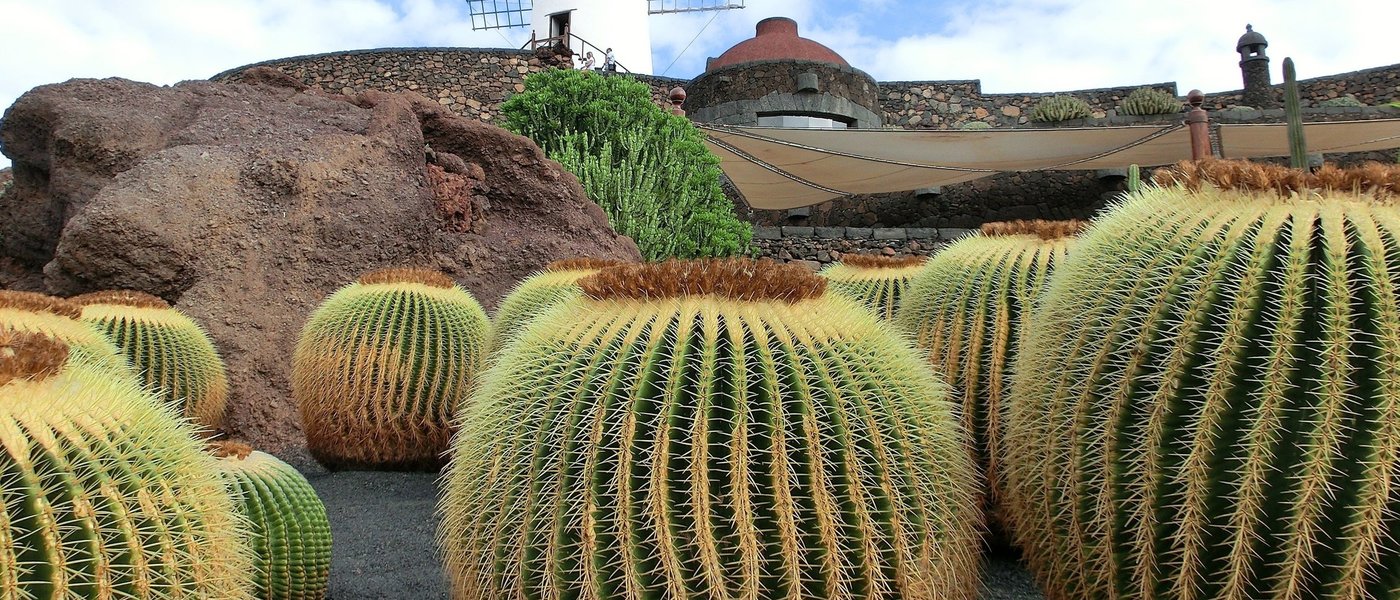 Lanzarote image