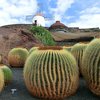 LanzaroteImage