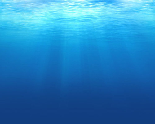 Submarine Safaris image