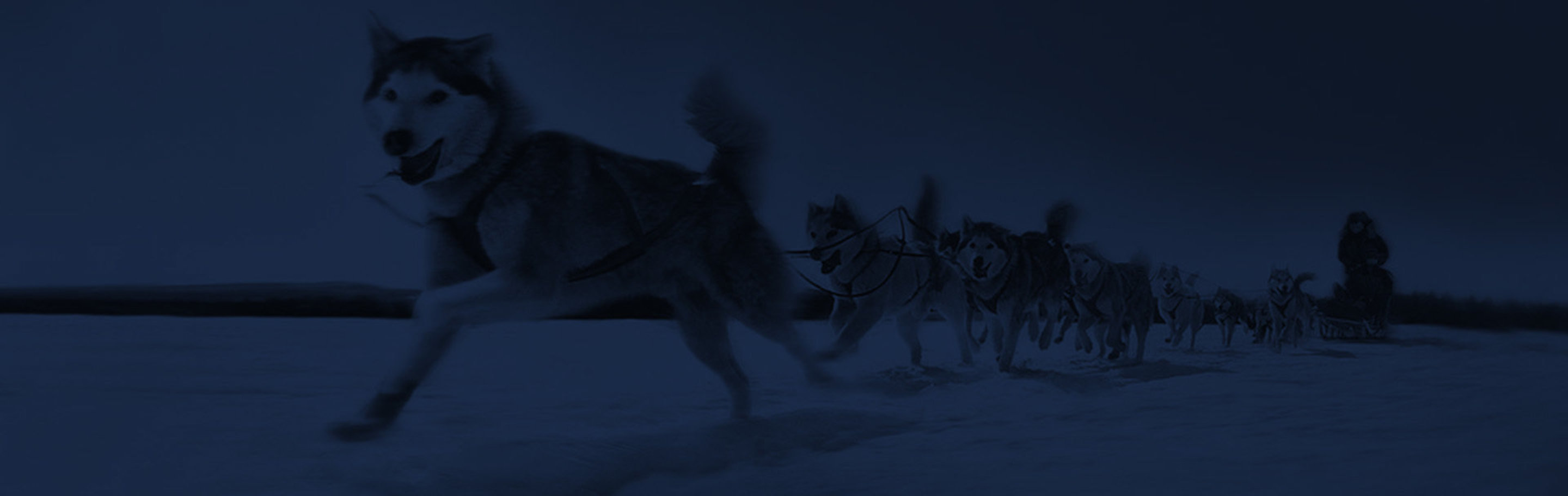 Eskimoteam image