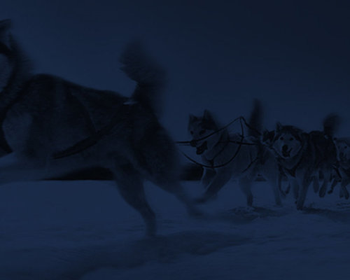 Eskimoteam image