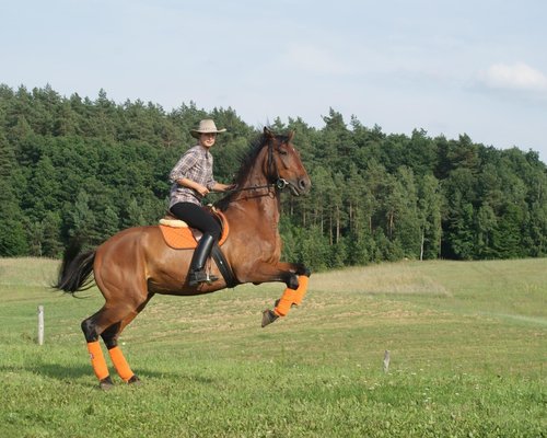 Stajnia Leźno image