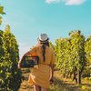 Agritourism farmImage