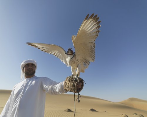 Kurban Tours image
