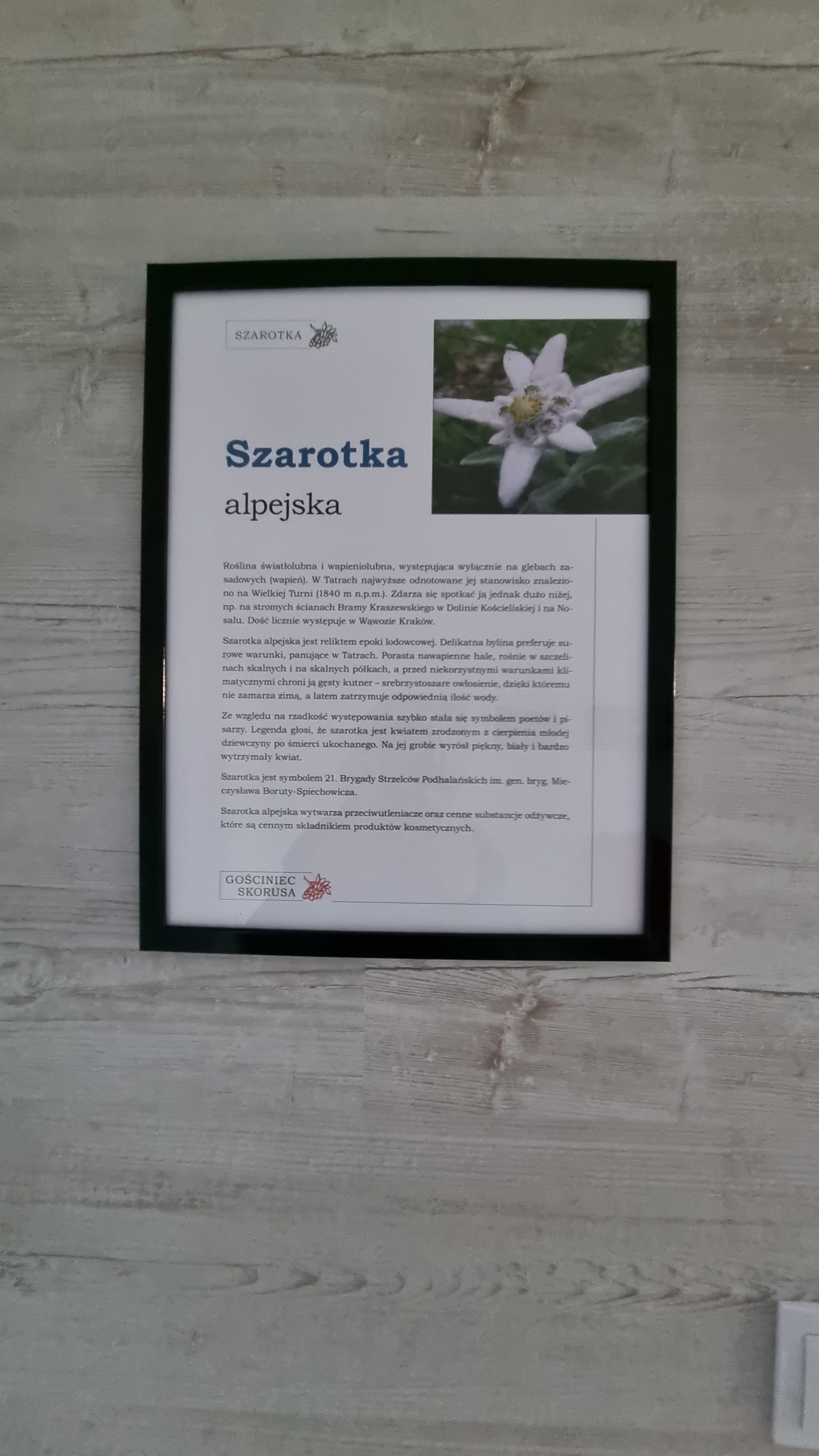Zdjęcie oferty