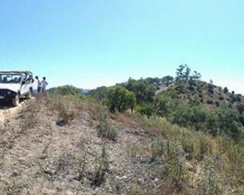 Alsafari Tours image